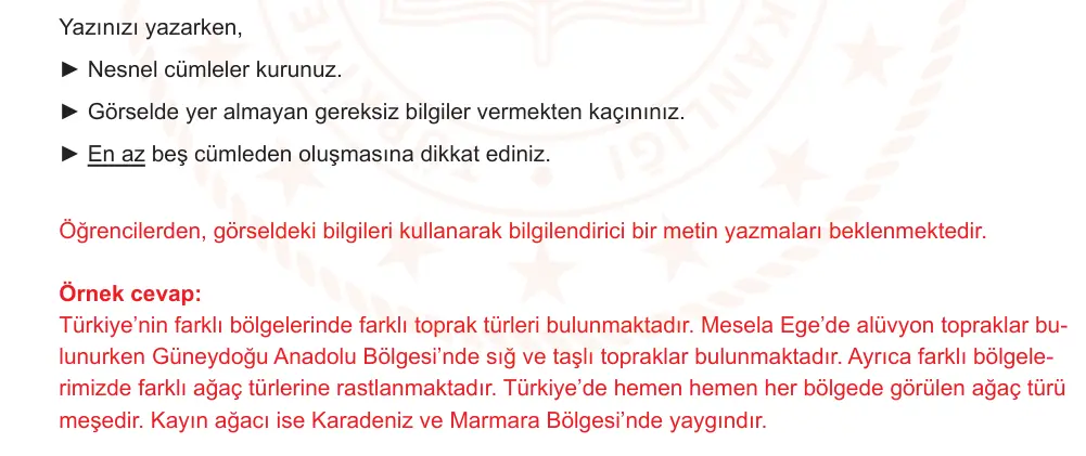 6. Sınıf Türkçe 2024-2025 2. Dönem 1. Yazılı Ortak Sınav 7. Soru (Öğle Oturumu, Yıldırım ders kitabı) resmi çözüm görseli