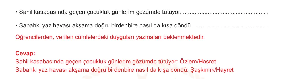 7. Sınıf Türkçe 2024-2025 2. Dönem 1. Yazılı Ortak Sınav 3. Soru (Öğle Oturumu, Mazeret Sınavı) resmi çözüm görseli