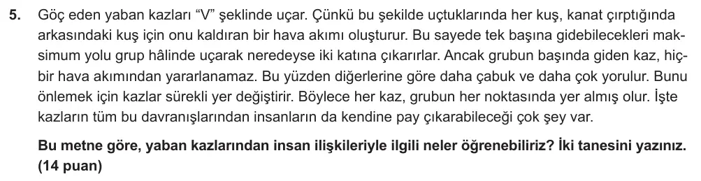 7. Sınıf Türkçe 2024-2025 2. Dönem 1. Yazılı Ortak Sınav 5. Soru (Öğle Oturumu) görseli