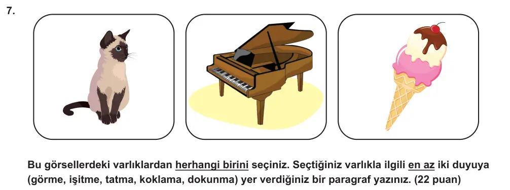 7. Sınıf Türkçe 2024-2025 2. Dönem 1. Yazılı Ortak Sınav 7. Soru (Öğle Oturumu) görseli