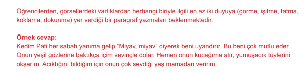 7. Sınıf Türkçe 2024-2025 2. Dönem 1. Yazılı Ortak Sınav 7. Soru (Öğle Oturumu) resmi çözüm görseli