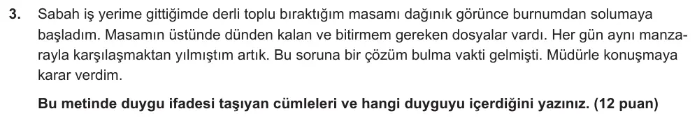 7. Sınıf Türkçe 2024-2025 2. Dönem 1. Yazılı Ortak Sınav 3. Soru (Sabah Oturumu) görseli