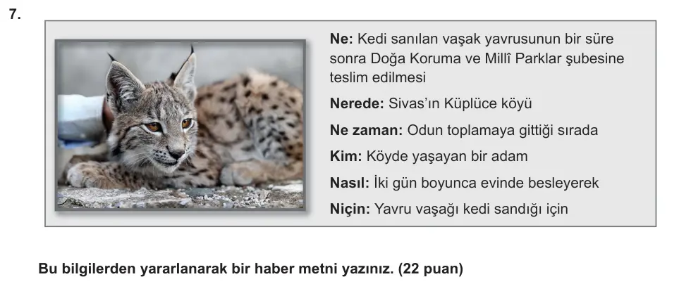 7. Sınıf Türkçe 2024-2025 2. Dönem 1. Yazılı Ortak Sınav 7. Soru (Sabah Oturumu) görseli