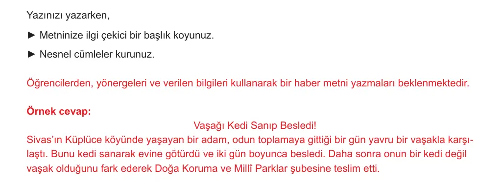 7. Sınıf Türkçe 2024-2025 2. Dönem 1. Yazılı Ortak Sınav 7. Soru (Sabah Oturumu) resmi çözüm görseli