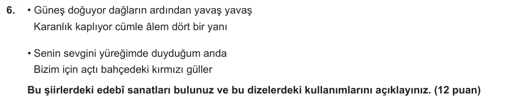 9. Sınıf Türk Dili ve Edebiyatı 2024-2025 2. Dönem 1. Yazılı Ortak Sınav 6. Soru (Öğle Oturumu, Mazeret Sınavı) görseli