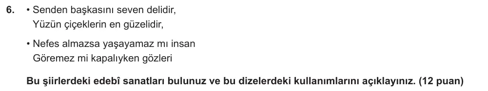 9. Sınıf Türk Dili ve Edebiyatı 2024-2025 2. Dönem 1. Yazılı Ortak Sınav 6. Soru (Öğle Oturumu, MEB ders kitabı) görseli