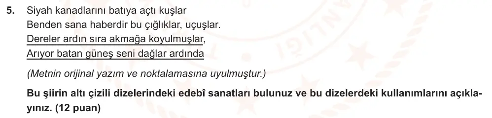 9. Sınıf Türk Dili ve Edebiyatı 2024-2025 2. Dönem 1. Yazılı Ortak Sınav 5. Soru (Sabah Oturumu, MEB ders kitabı) görseli