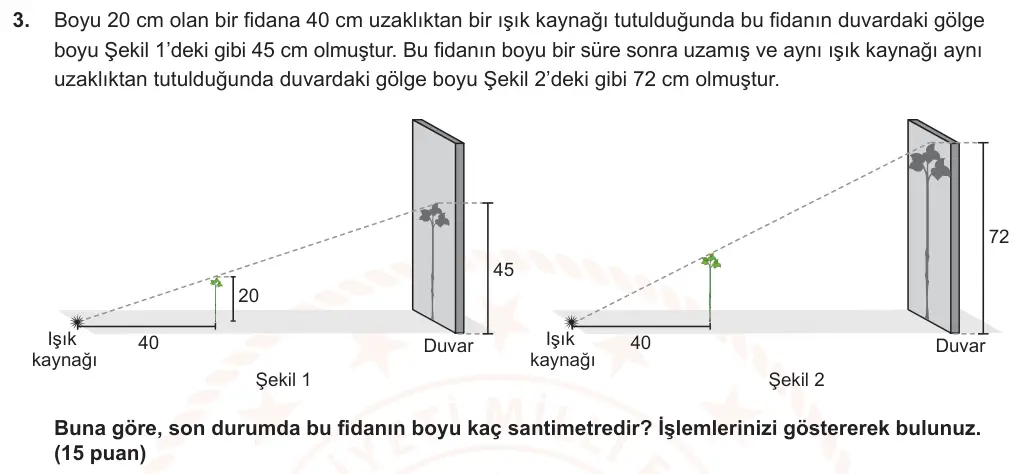 9. Sınıf Matematik 2024-2025 2. Dönem 1. Yazılı Ortak Sınav 3. Soru (Öğle Oturumu, MEB ders kitabı) görseli