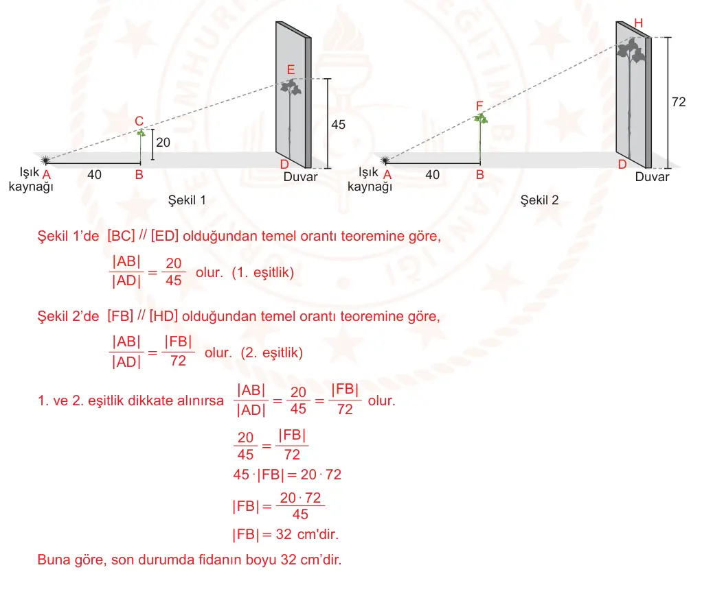 9. Sınıf Matematik 2024-2025 2. Dönem 1. Yazılı Ortak Sınav 3. Soru (Öğle Oturumu, MEB ders kitabı) resmi çözüm görseli