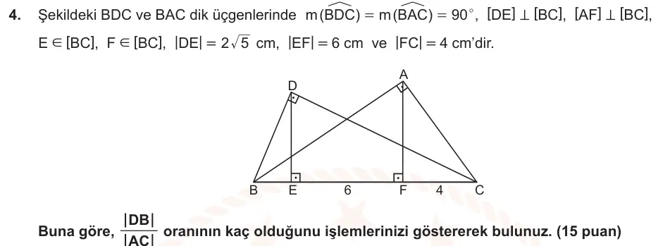 9. Sınıf Matematik 2024-2025 2. Dönem 1. Yazılı Ortak Sınav 4. Soru (Öğle Oturumu, MEB ders kitabı) görseli