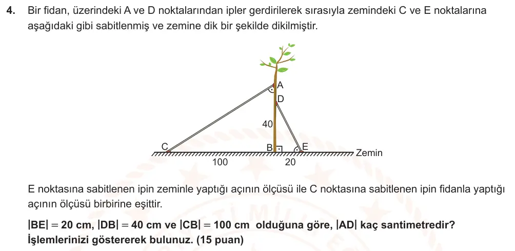 9. Sınıf Matematik 2024-2025 2. Dönem 1. Yazılı Ortak Sınav 4. Soru (Sabah Oturumu, MEB ders kitabı) görseli