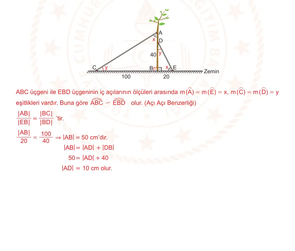 9. Sınıf Matematik 2024-2025 2. Dönem 1. Yazılı Ortak Sınav 4. Soru (Sabah Oturumu, MEB ders kitabı) resmi çözüm görseli