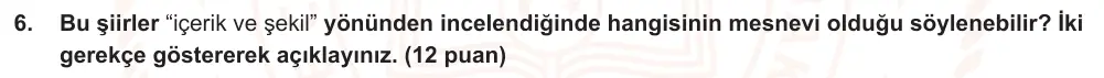 10. Sınıf Türk Dili ve Edebiyatı 2025-2026 2. Dönem 1. Yazılı Ortak Sınav 6. Soru (Öğle Oturumu) görseli