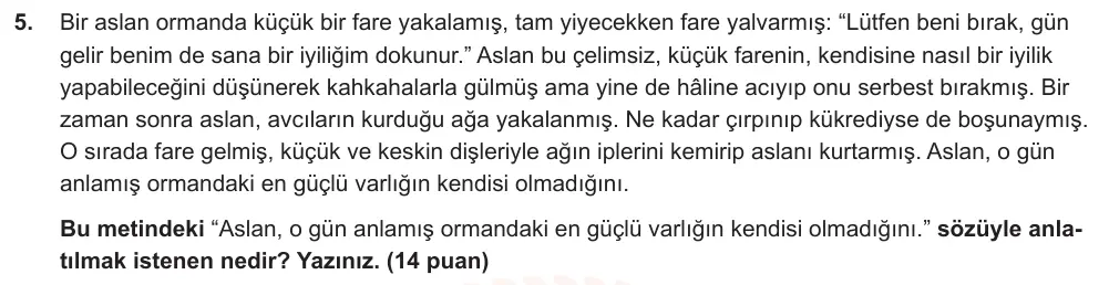 6. Sınıf Türkçe 2025-2026 2. Dönem 1. Yazılı Ortak Sınav 5. Soru (Öğle Oturumu) görseli