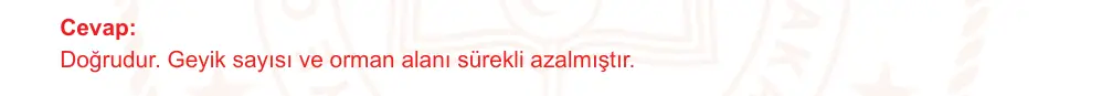 6. Sınıf Türkçe 2025-2026 2. Dönem 1. Yazılı Ortak Sınav 4. Soru (Sabah Oturumu, Mazeret Sınavı) resmi çözüm görseli