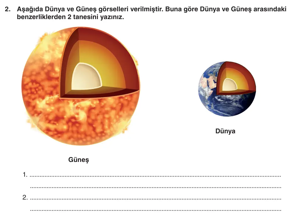 5. Sınıf Fen Bilimleri 2025-2026 1. Dönem 1. Yazılı 2. Soru (Yazılıya Hazırlanıyorum) görseli