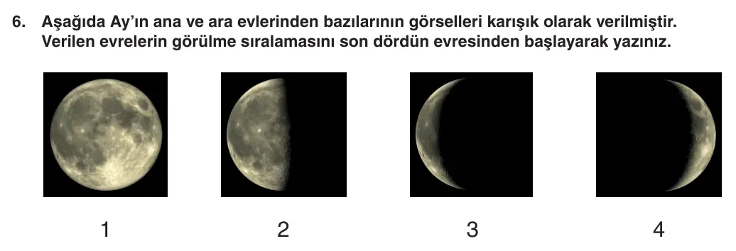 5. Sınıf Fen Bilimleri 2025-2026 1. Dönem 1. Yazılı 6. Soru (Yazılıya Hazırlanıyorum) görseli