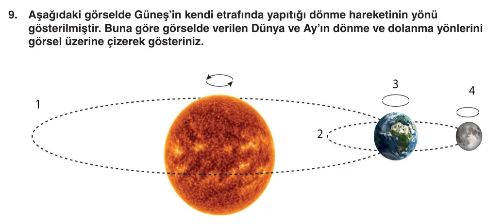 5. Sınıf Fen Bilimleri 2025-2026 1. Dönem 1. Yazılı 9. Soru (Yazılıya Hazırlanıyorum) görseli