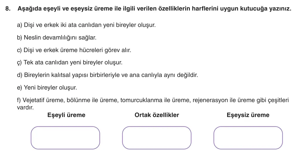 6. Sınıf Fen Bilimleri 2025-2026 1. Dönem 1. Yazılı 8. Soru (Yazılıya Hazırlanıyorum) görseli