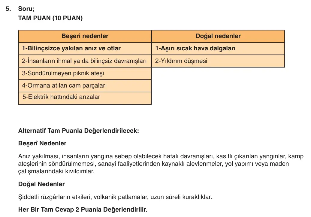6. Sınıf Sosyal Bilgiler 2025-2026 1. Dönem 1. Yazılı 5. Soru (Yazılıya Hazırlanıyorum) resmi çözüm görseli (1/2)