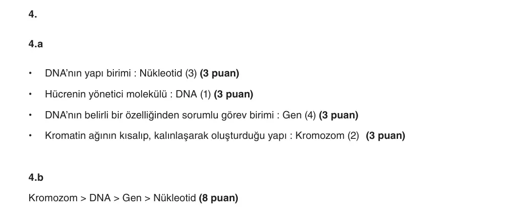 8. Sınıf Fen Bilimleri 2025-2026 1. Dönem 1. Yazılı 4. Soru (Yazılıya Hazırlanıyorum) resmi çözüm görseli
