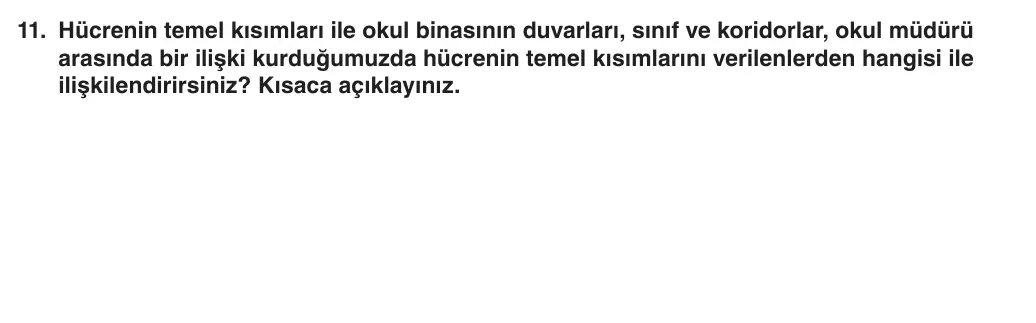Hücre ve Organelleri sorusu – 5. Sınıf Fen Bilimleri 2025-2026 1. Dönem 2. Yazılı 11. Soru (Yazılıya Hazırlanıyorum)