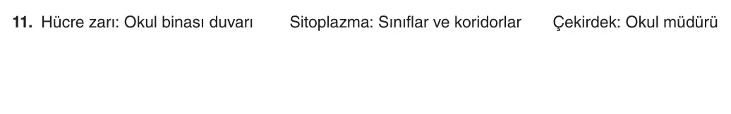 5. Sınıf Fen Bilimleri 2025-2026 1. Dönem 2. Yazılı 11. Soru (Yazılıya Hazırlanıyorum) resmi çözüm görseli