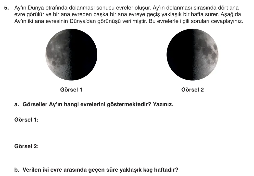 5. Sınıf Fen Bilimleri 2025-2026 1. Dönem 2. Yazılı 5. Soru (Yazılıya Hazırlanıyorum) görseli