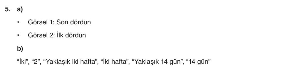 5. Sınıf Fen Bilimleri 2025-2026 1. Dönem 2. Yazılı 5. Soru (Yazılıya Hazırlanıyorum) resmi çözüm görseli