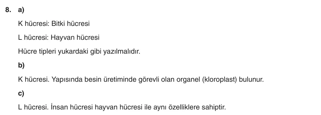5. Sınıf Fen Bilimleri 2025-2026 1. Dönem 2. Yazılı 8. Soru (Yazılıya Hazırlanıyorum) resmi çözüm görseli