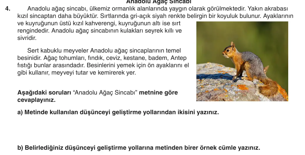 5. Sınıf Türkçe 2025-2026 1. Dönem 2. Yazılı 4. Soru (Yazılıya Hazırlanıyorum) görseli