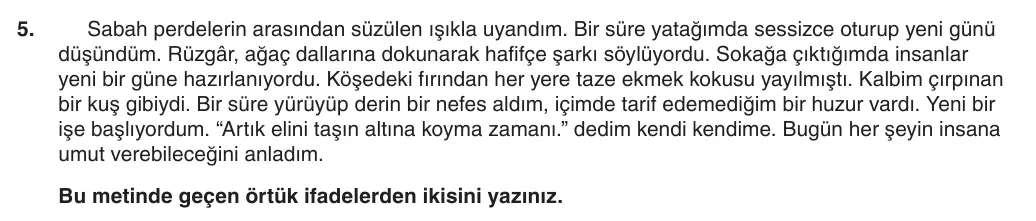 5. Sınıf Türkçe 2025-2026 1. Dönem 2. Yazılı 5. Soru (Yazılıya Hazırlanıyorum) görseli