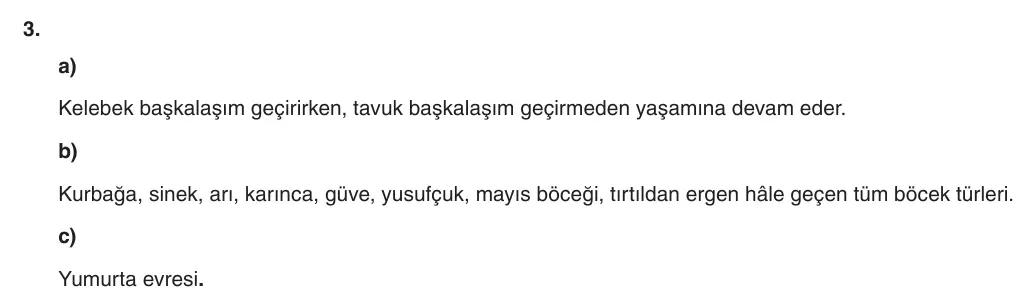 6. Sınıf Fen Bilimleri 2025-2026 1. Dönem 2. Yazılı 3. Soru (Yazılıya Hazırlanıyorum) resmi çözüm görseli