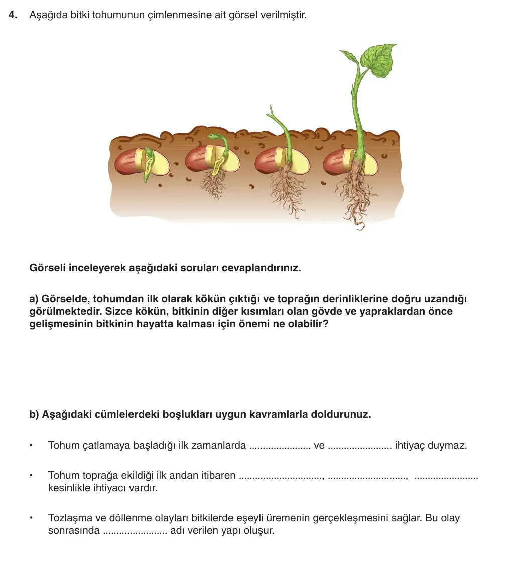 6. Sınıf Fen Bilimleri 2025-2026 1. Dönem 2. Yazılı 4. Soru (Yazılıya Hazırlanıyorum) görseli