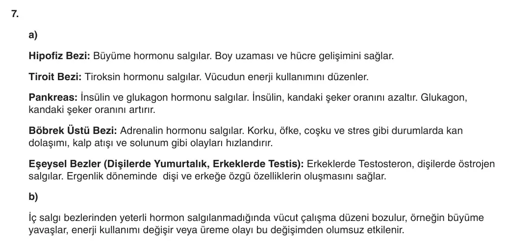 6. Sınıf Fen Bilimleri 2025-2026 1. Dönem 2. Yazılı 7. Soru (Yazılıya Hazırlanıyorum) resmi çözüm görseli