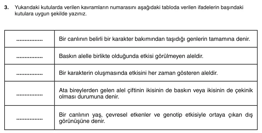8. Sınıf Fen Bilimleri 2025-2026 1. Dönem 2. Yazılı 3. Soru (Yazılıya Hazırlanıyorum) görseli