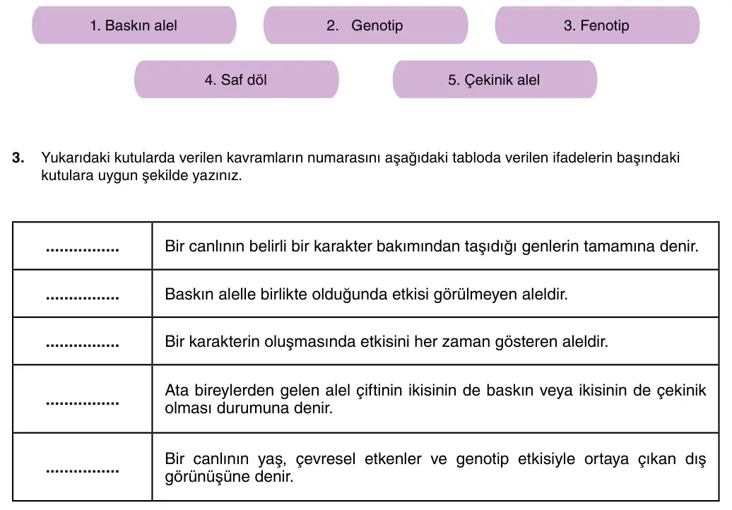 8. Sınıf Fen Bilimleri 2025-2026 1. Dönem 2. Yazılı 3. Soru (Yazılıya Hazırlanıyorum) görseli