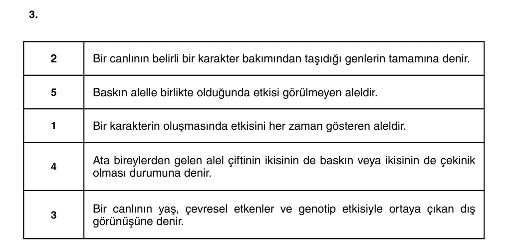 8. Sınıf Fen Bilimleri 2025-2026 1. Dönem 2. Yazılı 3. Soru (Yazılıya Hazırlanıyorum) resmi çözüm görseli