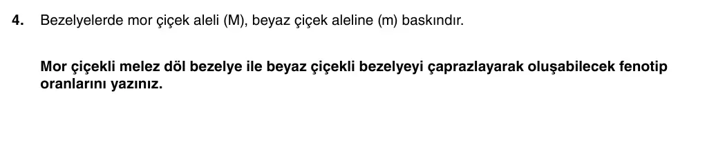 8. Sınıf Fen Bilimleri 2025-2026 1. Dönem 2. Yazılı 4. Soru (Yazılıya Hazırlanıyorum) görseli