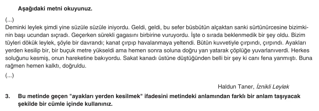 9. Sınıf Türk Dili ve Edebiyatı 2025-2026 1. Dönem 2. Yazılı 3. Soru (Yazılıya Hazırlanıyorum) görseli