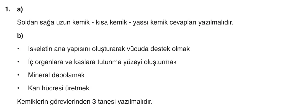 5. Sınıf Fen Bilimleri 2025-2026 2. Dönem 1. Yazılı 1. Soru (Yazılıya Hazırlanıyorum) resmi çözüm görseli