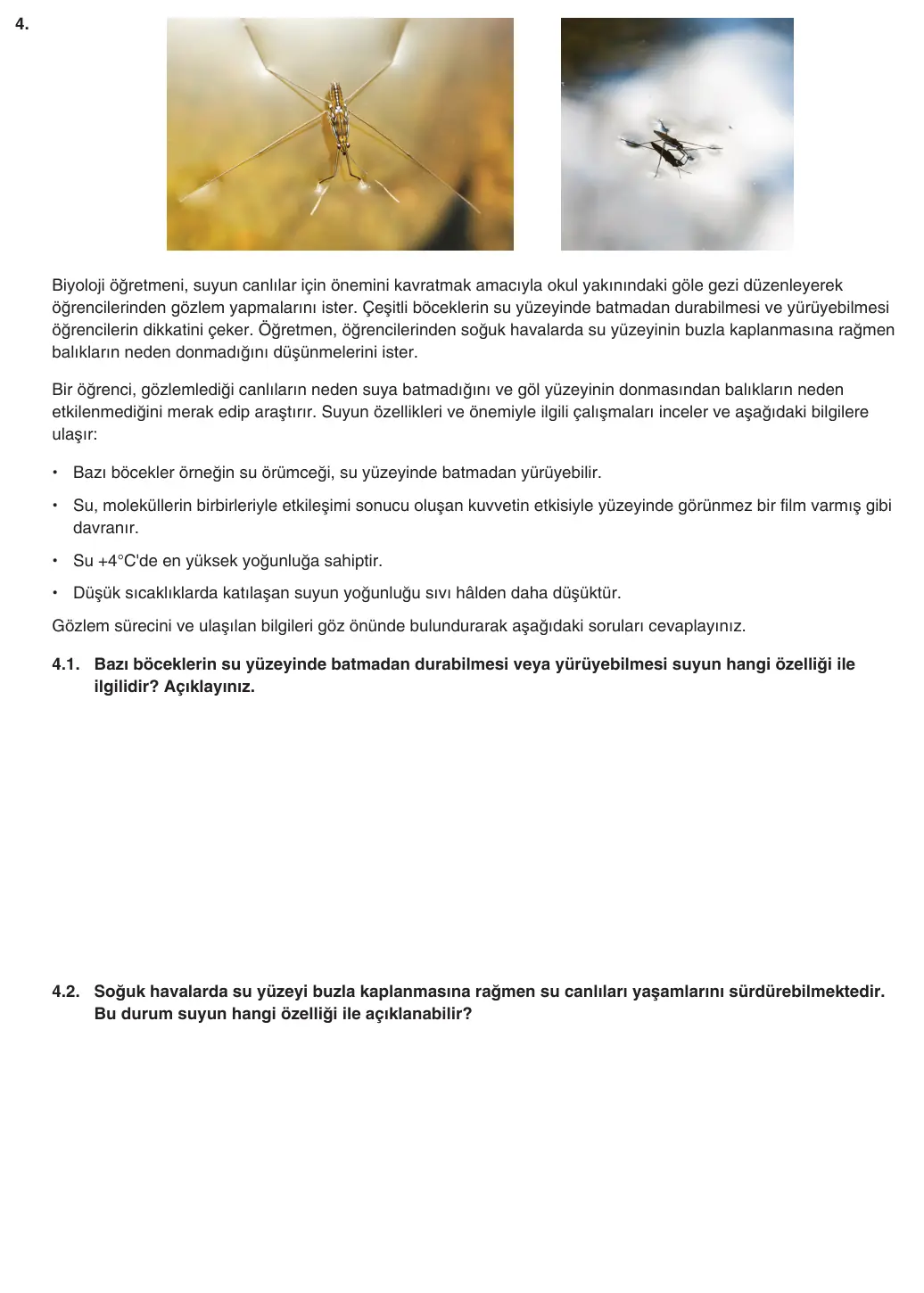 9. Sınıf Biyoloji 2025-2026 2. Dönem 1. Yazılı 4. Soru (Yazılıya Hazırlanıyorum) görseli