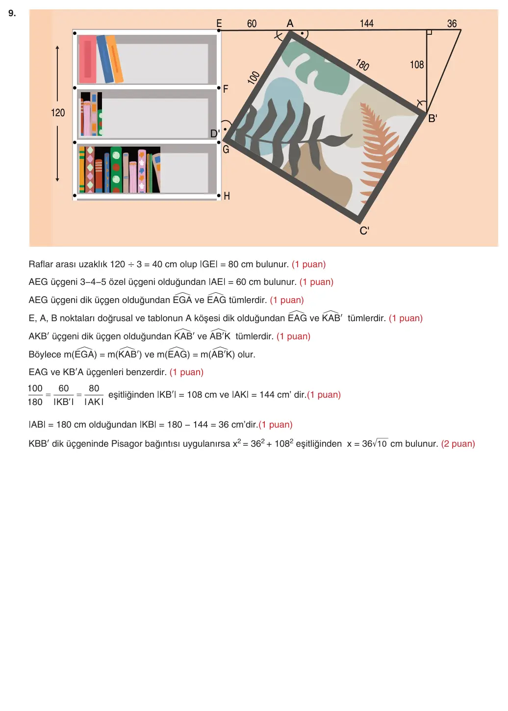 9. Sınıf Matematik 2025-2026 2. Dönem 1. Yazılı 9. Soru (Yazılıya Hazırlanıyorum) resmi çözüm görseli