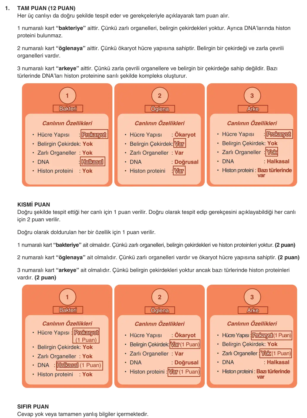 9. Sınıf Biyoloji 2025-2026 2. Dönem 2. Yazılı 1. Soru (Yazılıya Hazırlanıyorum) resmi çözüm görseli