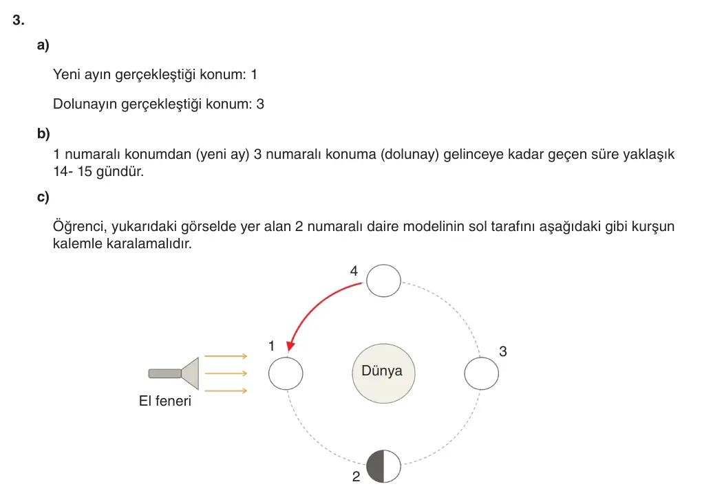 5. Sınıf Fen Bilimleri 2026-2027 1. Dönem 1. Yazılı 3. Soru (Yazılıya Hazırlanıyorum) resmi çözüm görseli