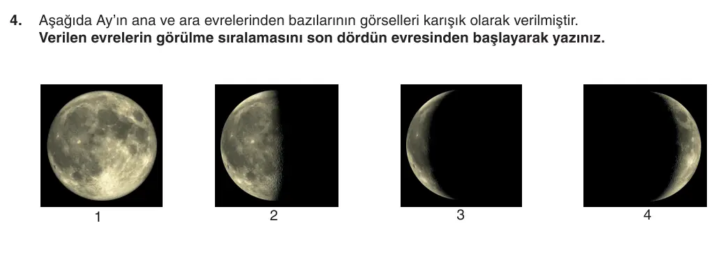 5. Sınıf Fen Bilimleri 2026-2027 1. Dönem 1. Yazılı 4. Soru (Yazılıya Hazırlanıyorum) görseli