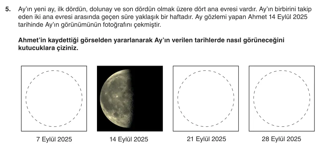 5. Sınıf Fen Bilimleri 2026-2027 1. Dönem 1. Yazılı 5. Soru (Yazılıya Hazırlanıyorum) görseli