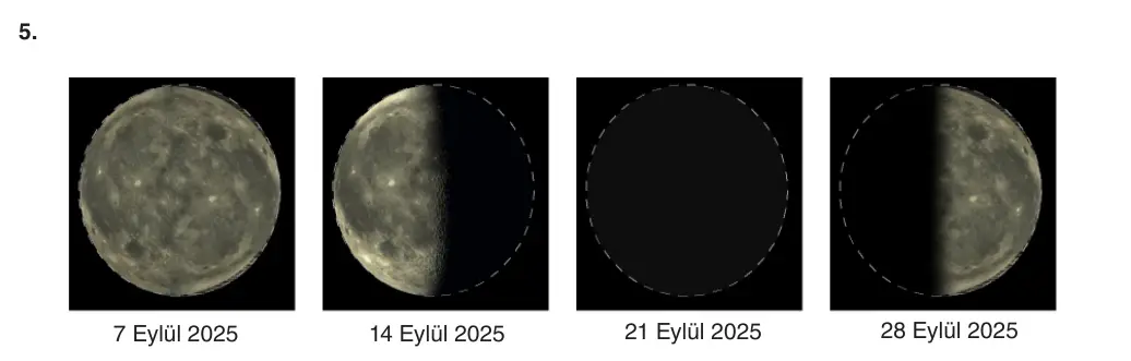 5. Sınıf Fen Bilimleri 2026-2027 1. Dönem 1. Yazılı 5. Soru (Yazılıya Hazırlanıyorum) resmi çözüm görseli